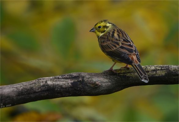 Nach langer Zeit ...