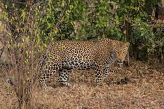 Nach langer Zeit.....