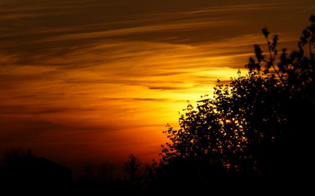 Nach langer Zeit...............