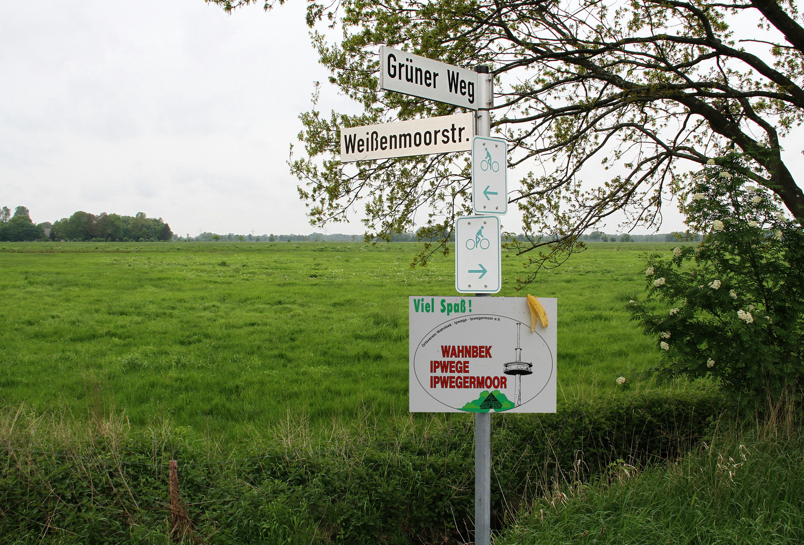 nach links , nach rechts , wir waren ratlos ... ich meinte alles BANANE !