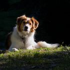 Nach mehrstündiger Wanderzeit brauche der Lenny eine Pause.