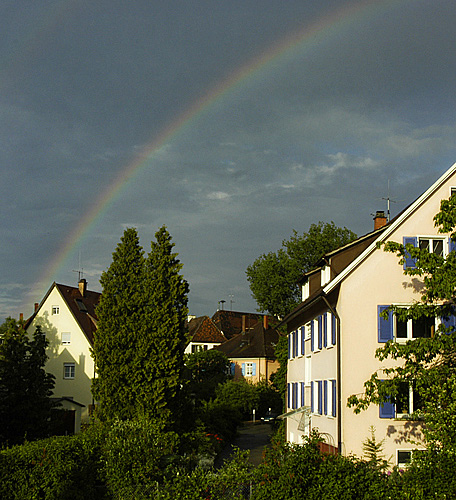 nach mittag - nach dem regen