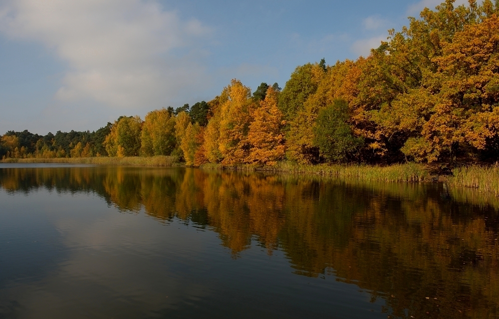 Nach Nebelauflösung zeigte sich der Herbst heute auch von seiner schönsten Seite.