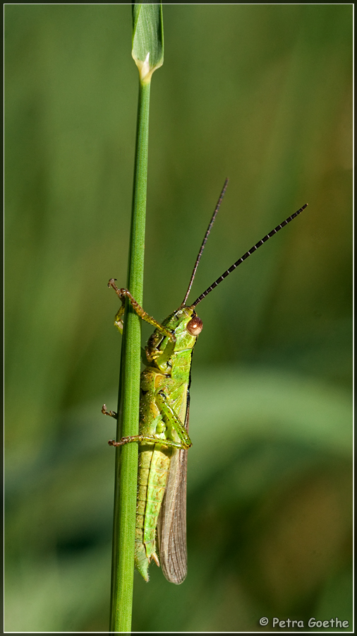 Nach oben