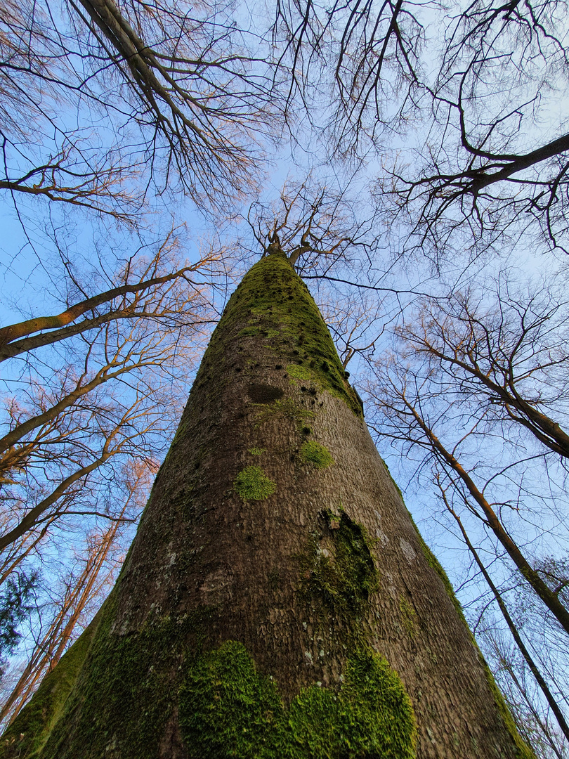 nach oben