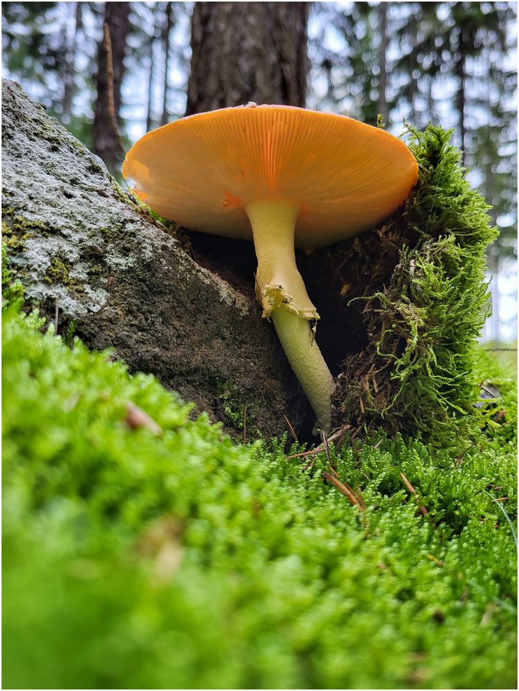 Nach oben... geschafft !