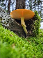 Nach oben... geschafft !