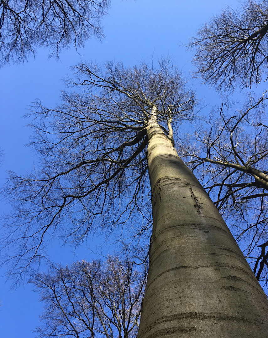 nach oben geschaut