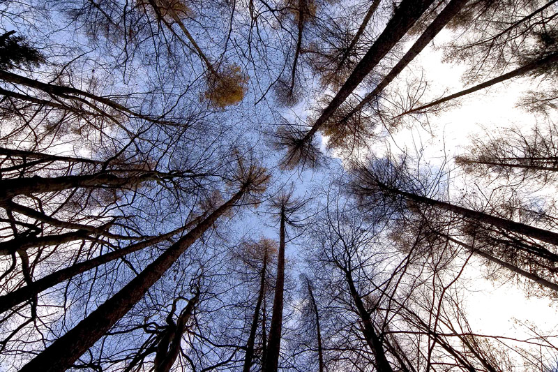 nach oben........... ist Platz! (12mm)