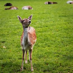 Nach oben sehen