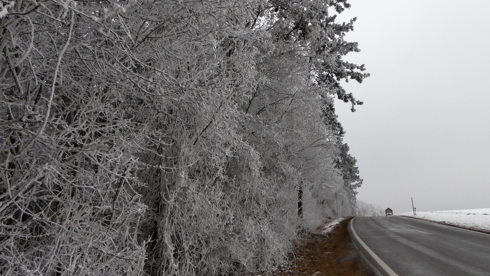 Nach Raureif und Eisregen