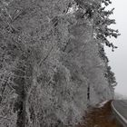 Nach Raureif und Eisregen