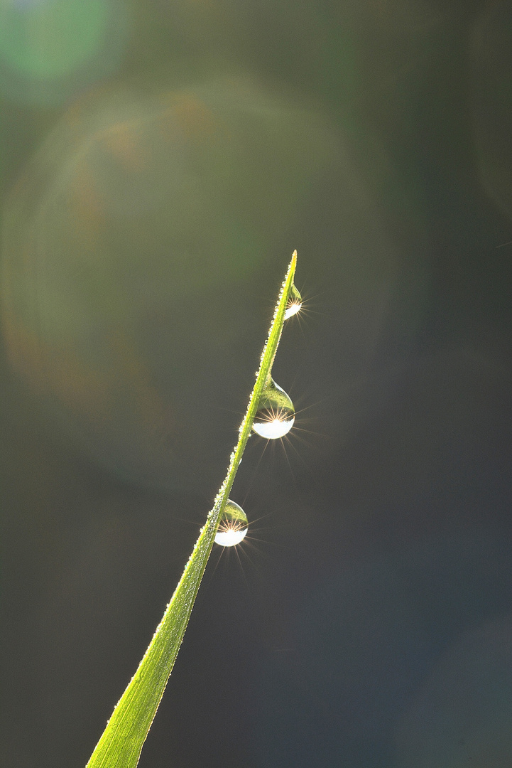 Nach Regen...