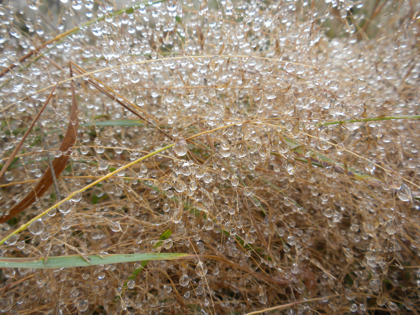 Nach Regen