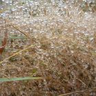 Nach Regen