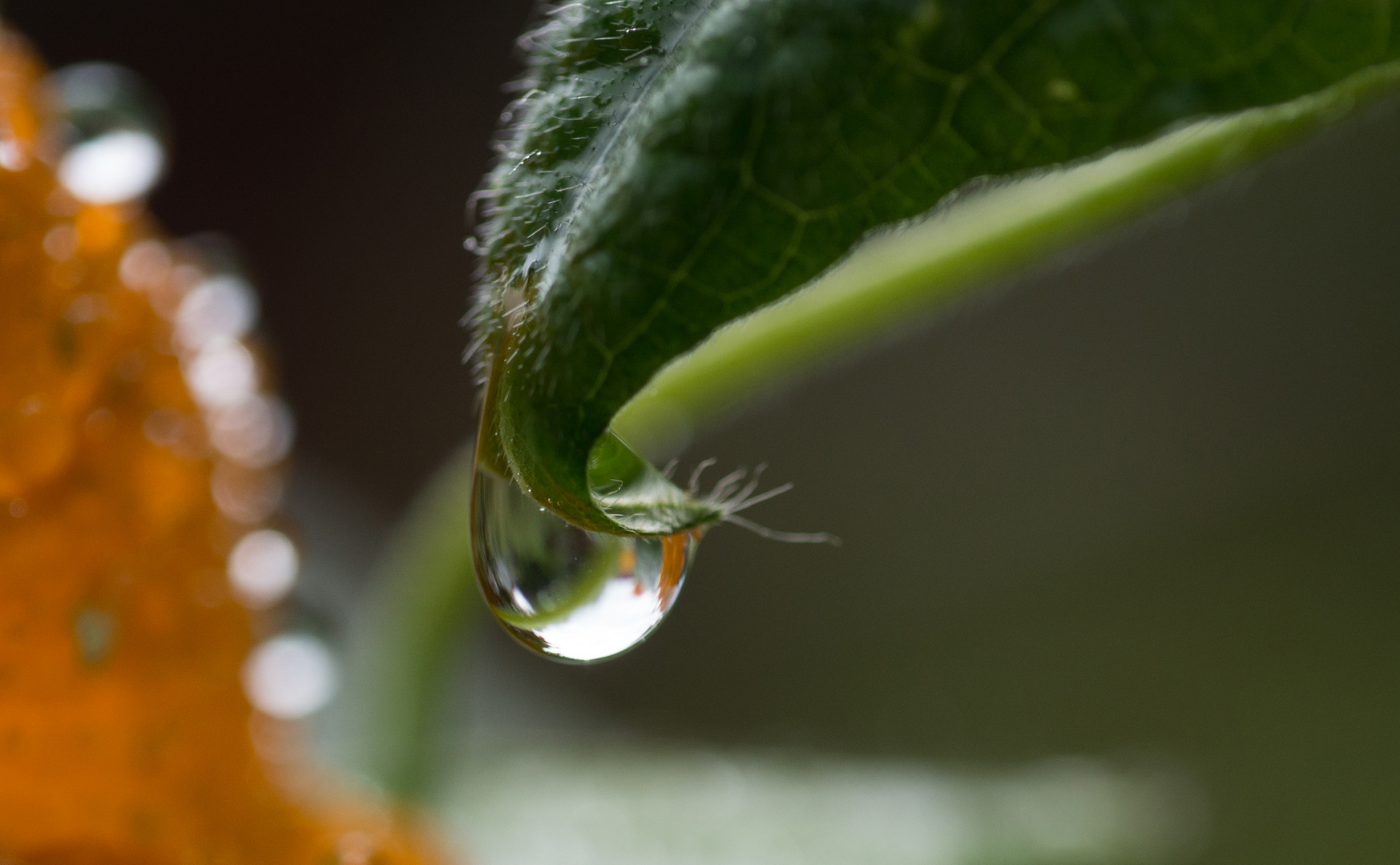 Nach Regen folgt bekanntlich Sonnenschein