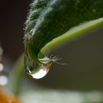 Nach Regen folgt bekanntlich Sonnenschein