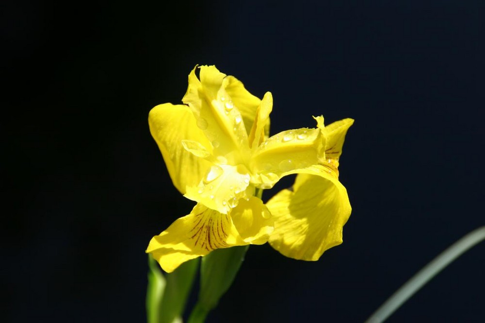 Nach Regen folgt Sonne