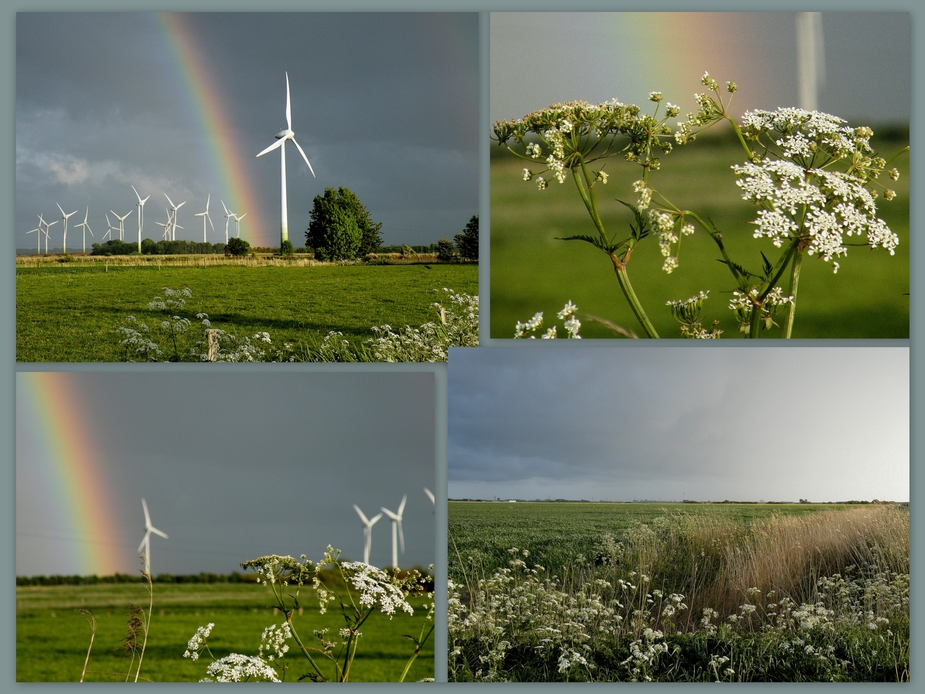Nach Regen folgt Sonnenschein Foto Bild Nach Regen folgt Sonnenschein Foto Bild