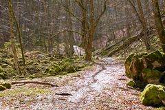 Nach Regen kam die Sonne.