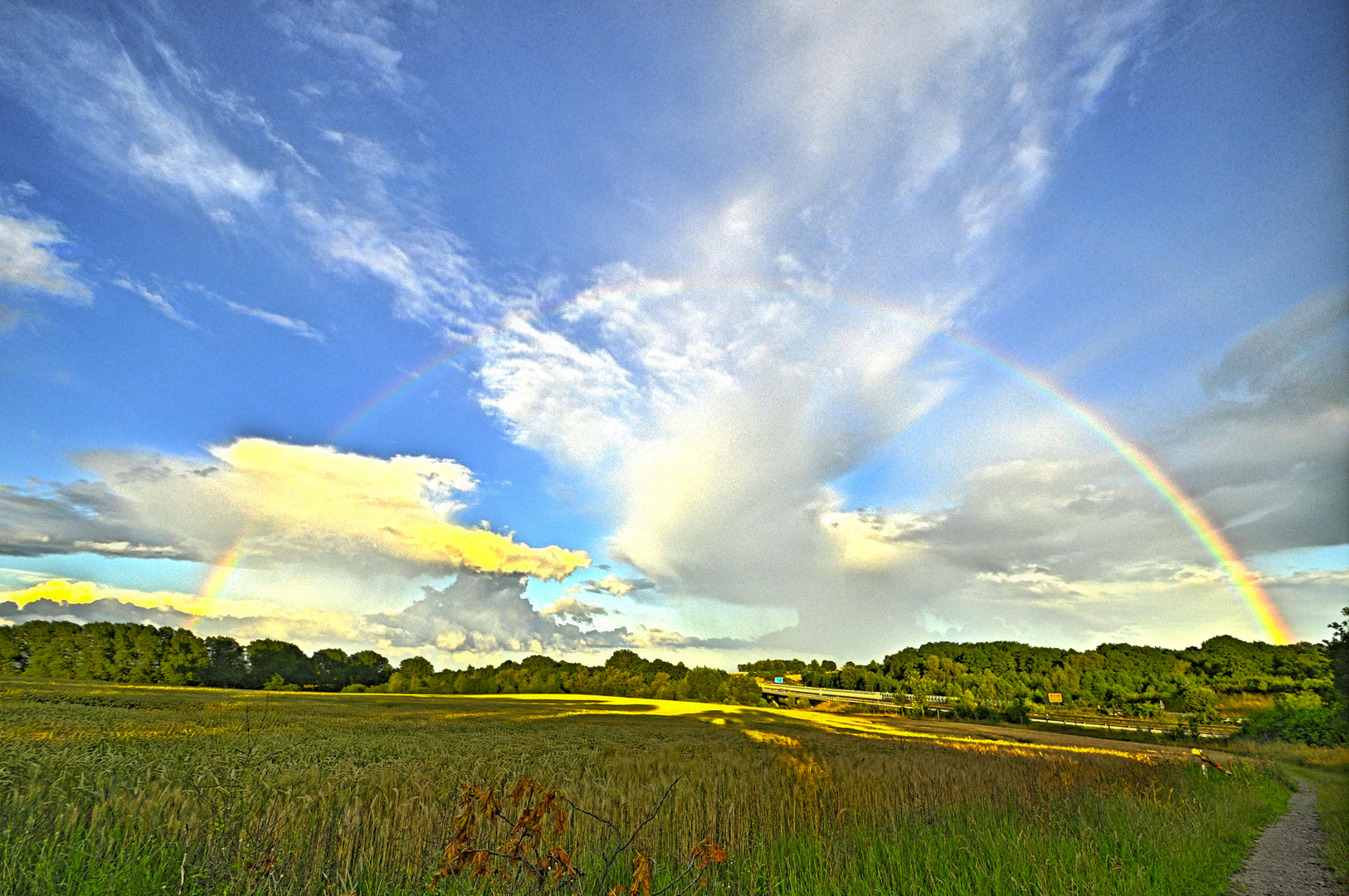 Nach Regen  kommt Sonne  Der Sommer 2012 kommt bestimmt 