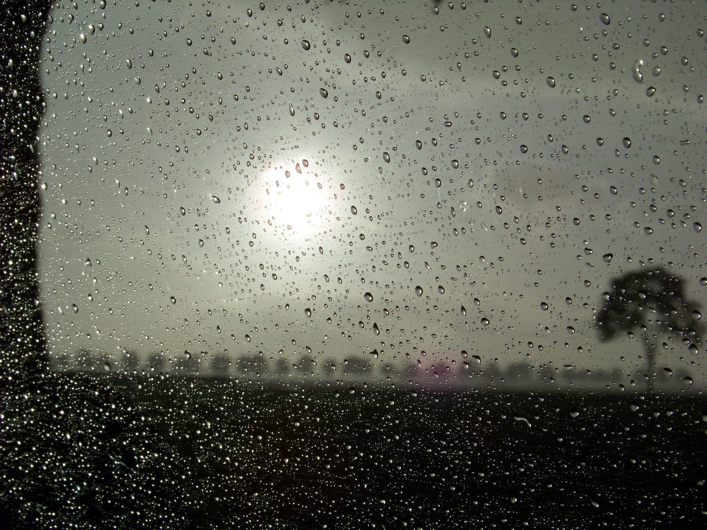 nach regen Zone ist offensichtlich