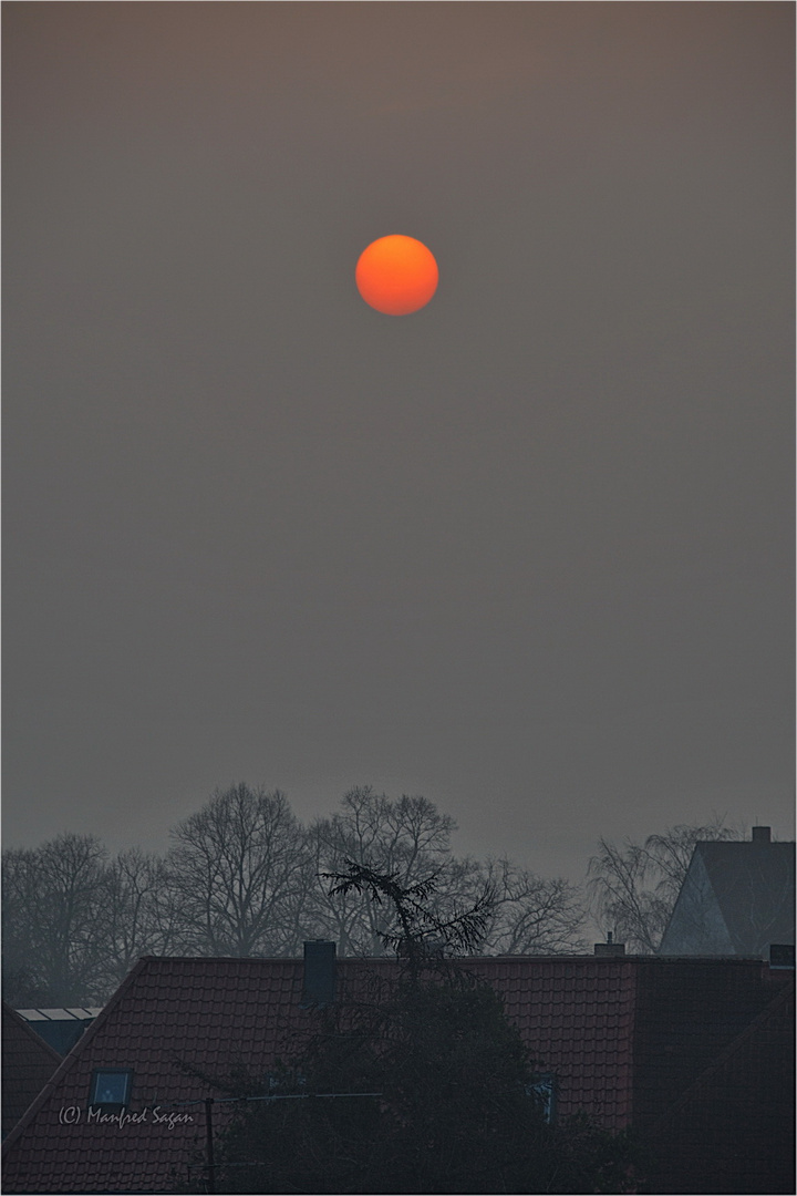 Nach Sonnenaufgang - Nebel war der beste Filter...