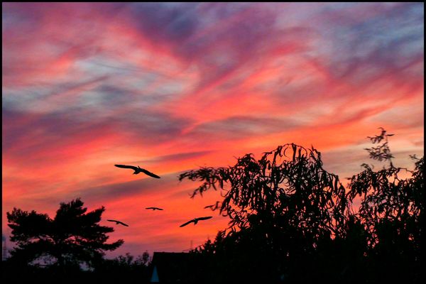 NACH SONNENUNTERGANG.....