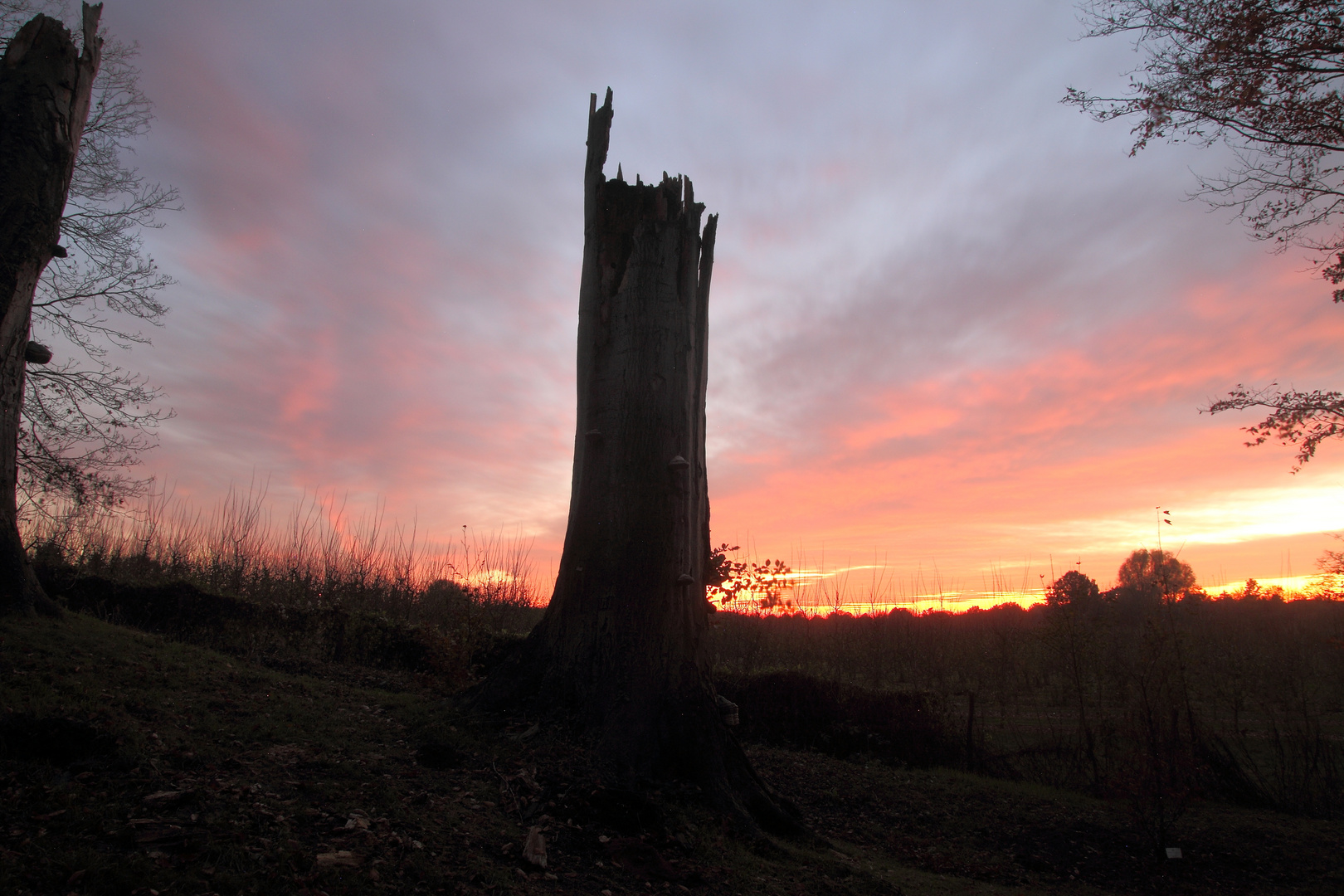 Nach Sonnenuntergang 4............