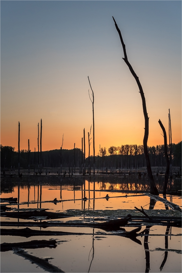 Nach Sonnenuntergang