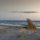 Nach Sonnenuntergang am Strand von Westenschouwen