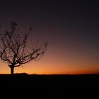 Nach Sonnenuntergang auf dem Leitenkopf