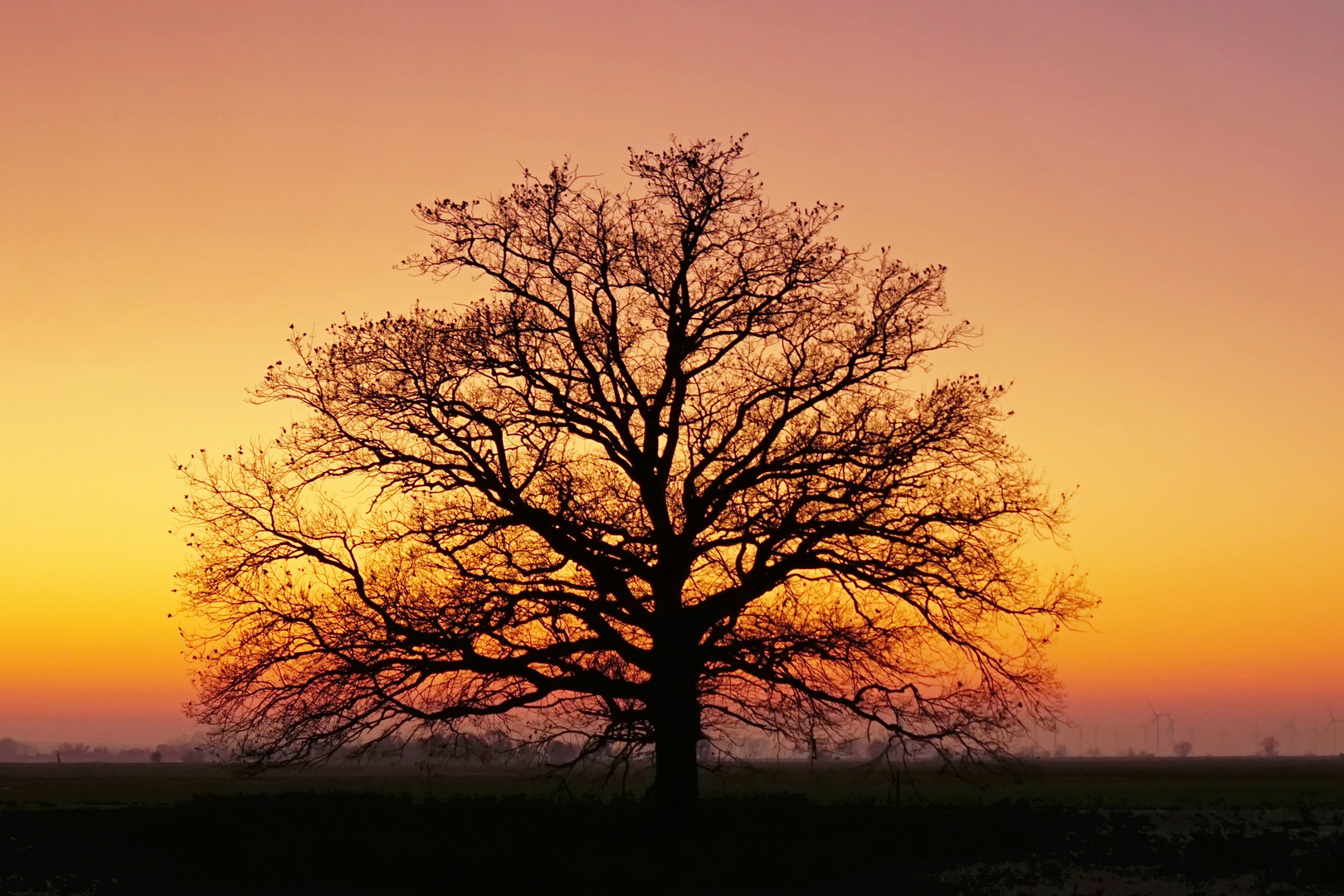 Nach Sonnenuntergang