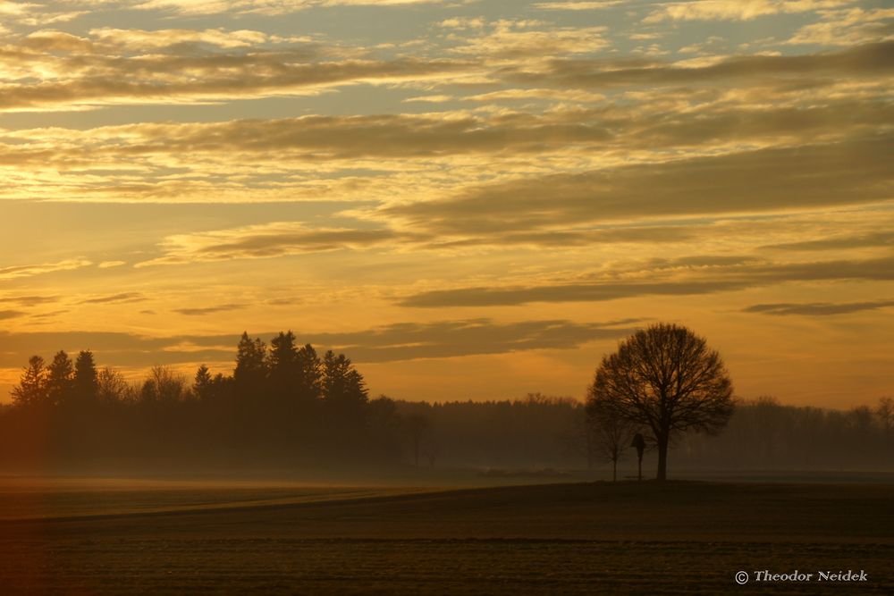 Nach Sonnenuntergang im November