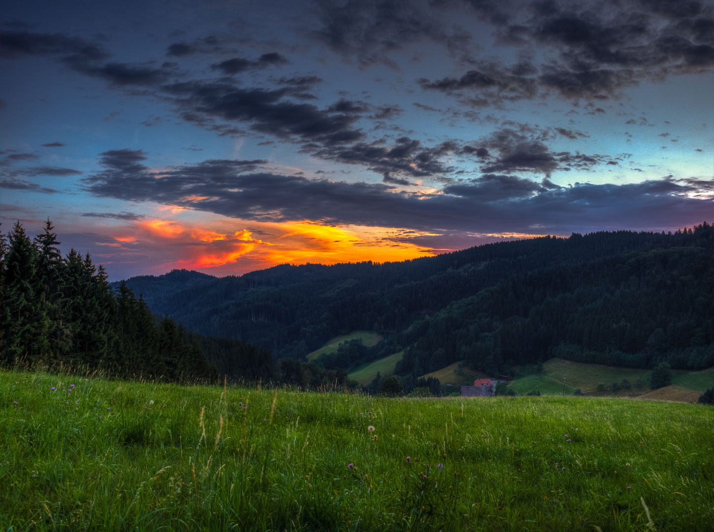 Nach Sonnenuntergang im Schwarzwald