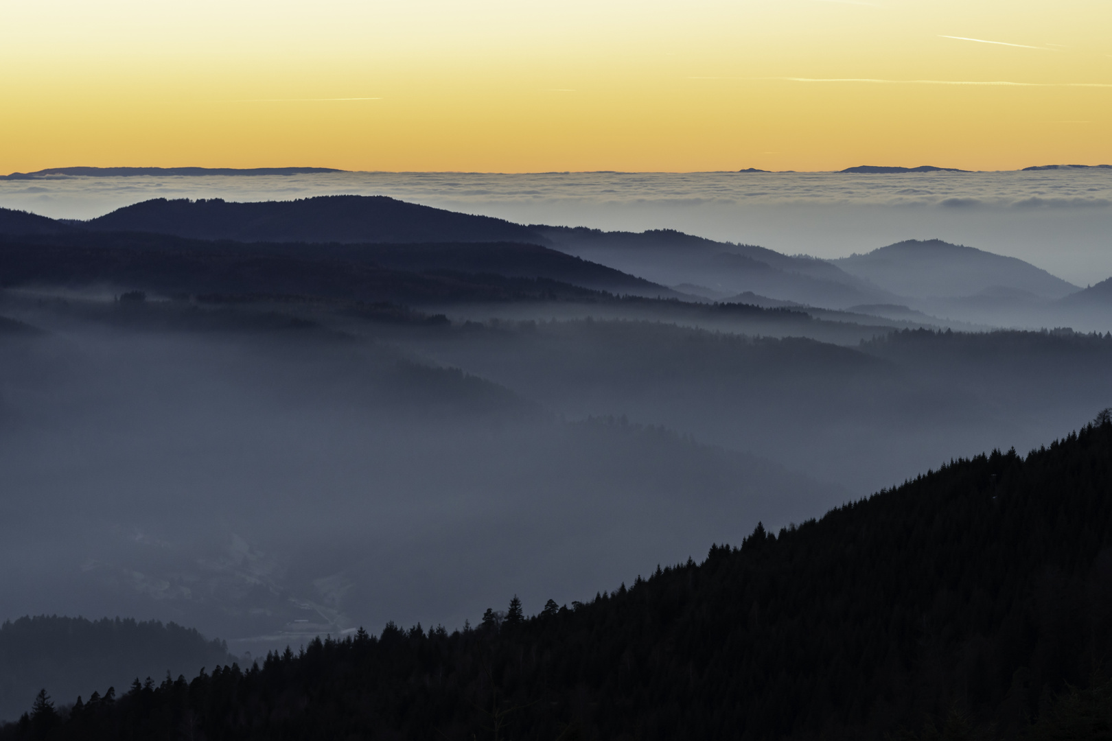 Nach Sonnenuntergang im Schwarzwald