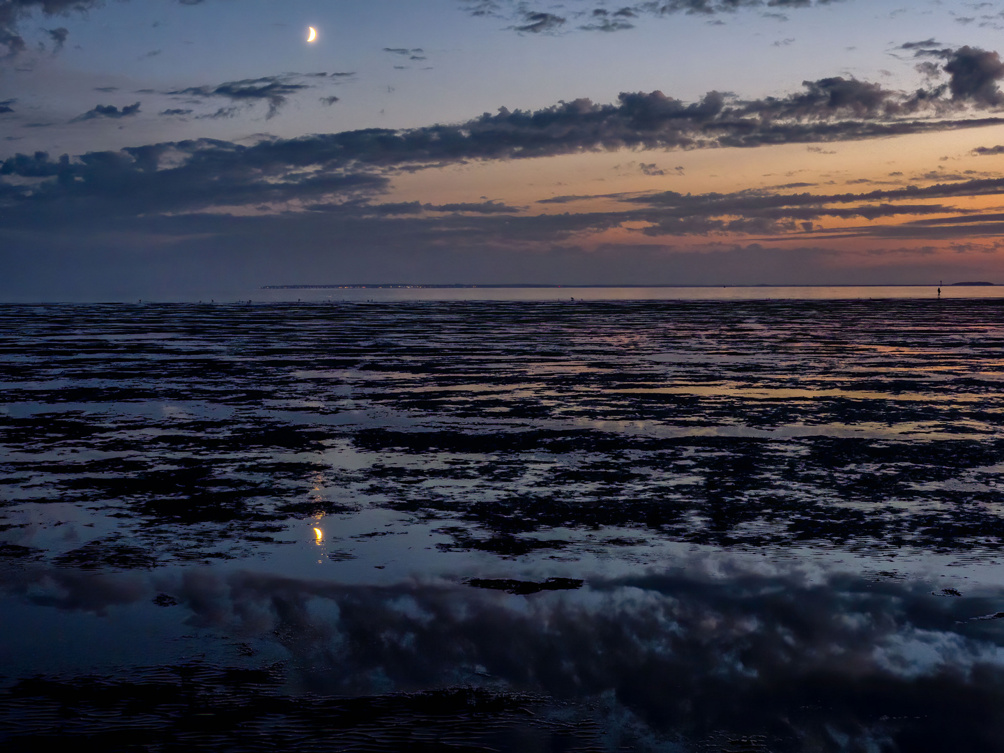 Nach Sonnenuntergang im Watt