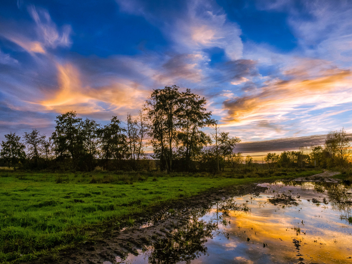 Nach Sonnenuntergang in den Gosener Wiesen