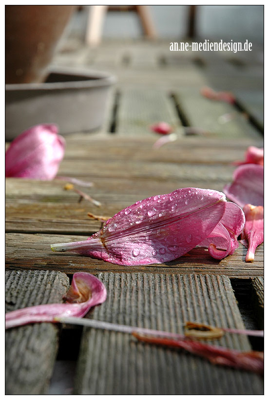 Nach Sturm und Regen