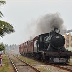 Nach Süden auf der Coast Line