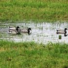 Nach tagelangem Regen