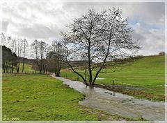 Nach tagelangen Regen ...