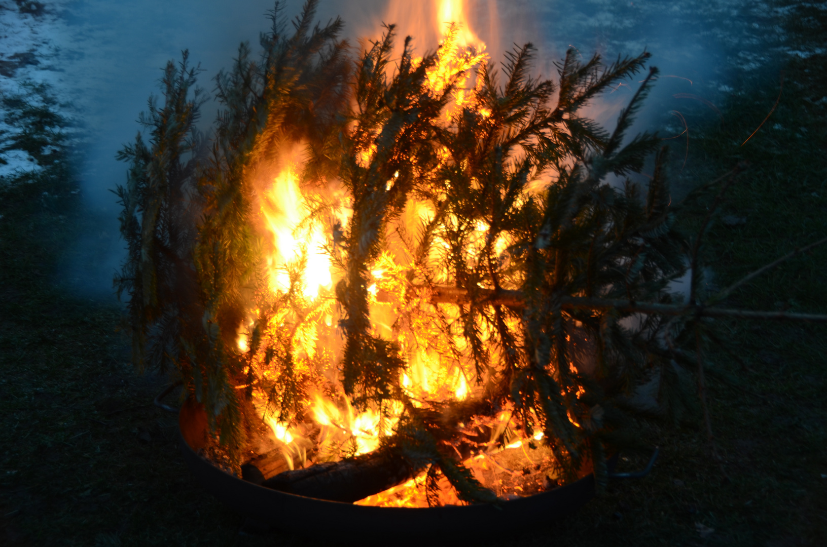 Nach Tannenbaum weitwurf .kommt Verbrennung