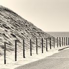 Nach unten zum Strand in Noordwijk-aan-Zee