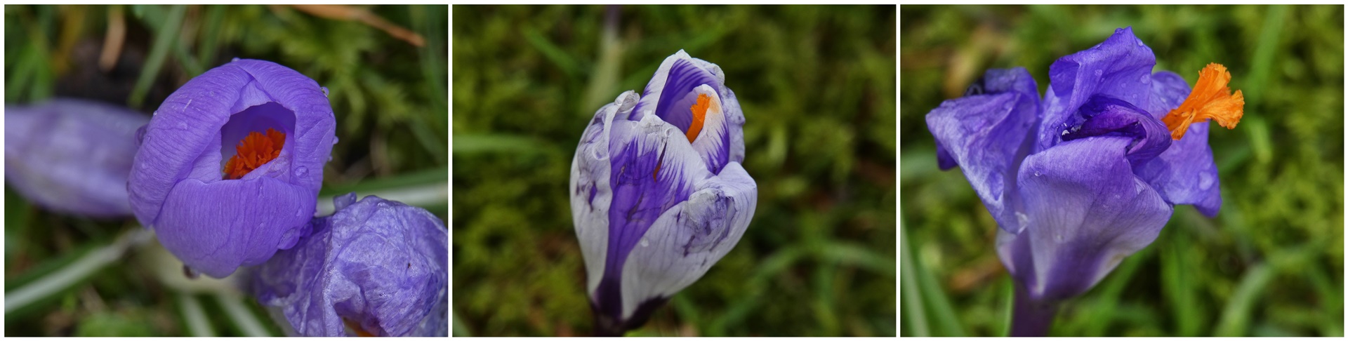 Nach Wind und Regen