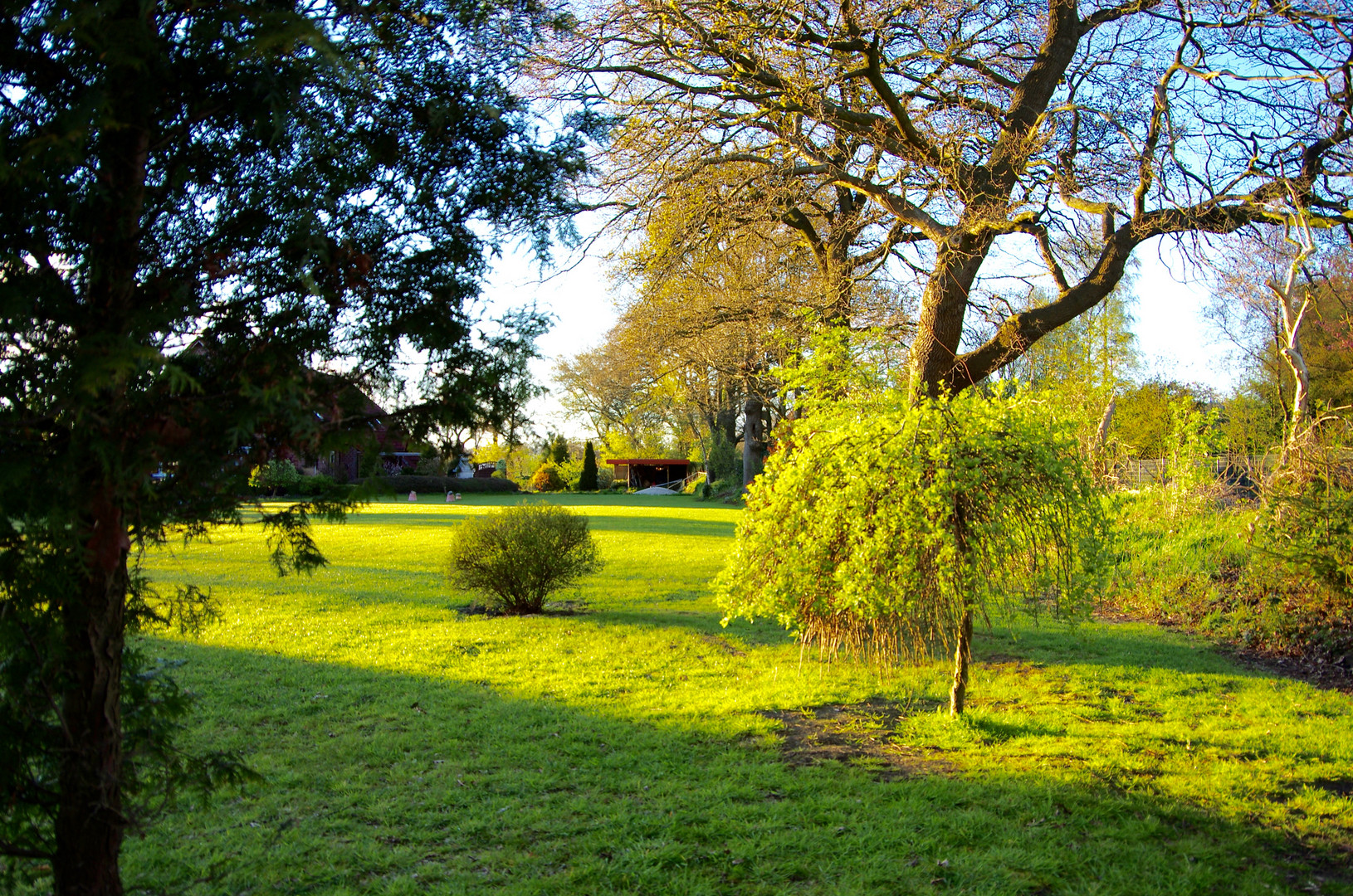 Nachbar's Garten