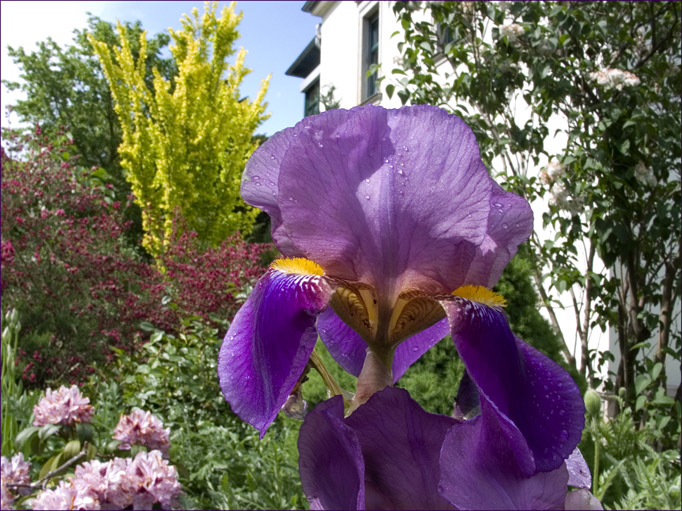 Nachbars Gartenecke