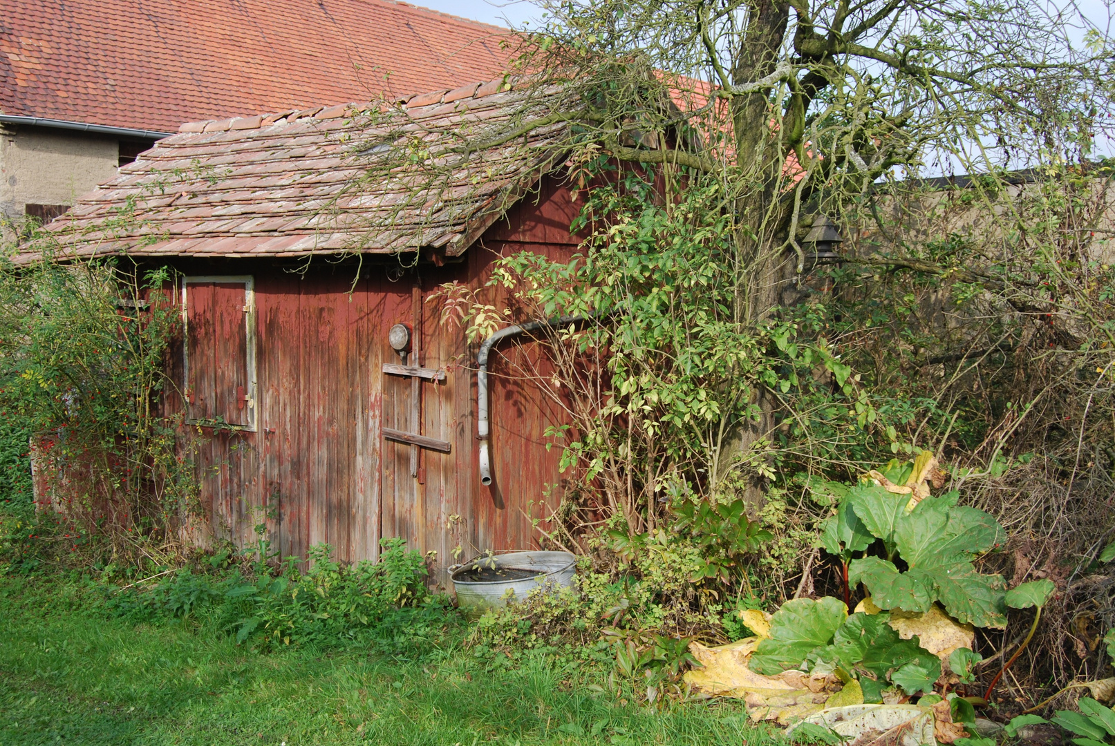 nachbars gartenhäuschen