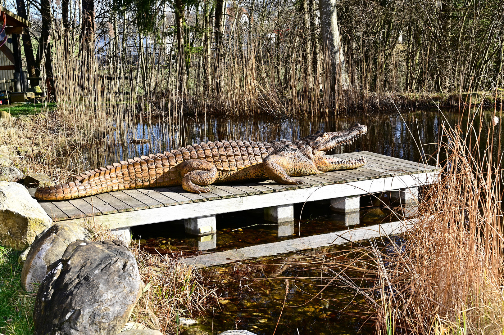 Nachbildung eines Alligators