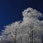 nachdem der Hochnebel weg ist